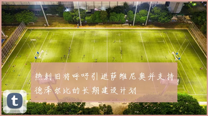 热刺旧将呼吁引进萨维尼奥并支持德泽尔比的长期建设计划