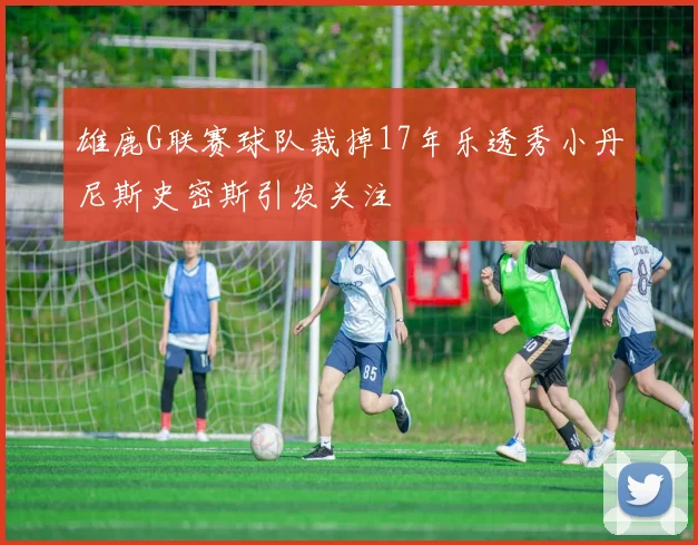 雄鹿G联赛球队裁掉17年乐透秀小丹尼斯史密斯引发关注