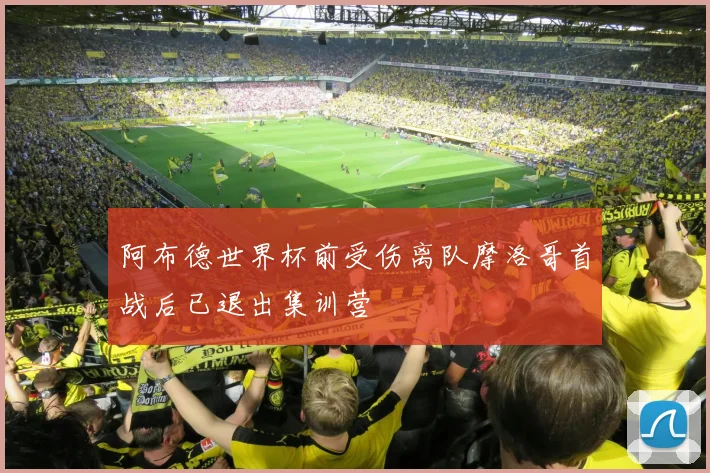 阿布德世界杯前受伤离队摩洛哥首战后已退出集训营