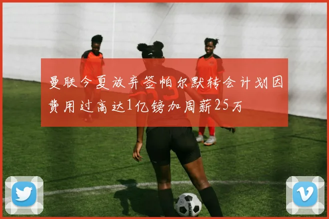 曼联今夏放弃签帕尔默转会计划因费用过高达1亿镑加周薪25万